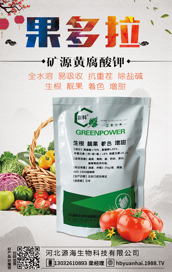 ������Ճr(ji��)������Xһ����2020�����Nֲǰ�������