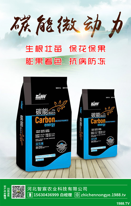 ħ��ԓ��ô�N��ħ��߮a(ch��n)�Nֲ��������