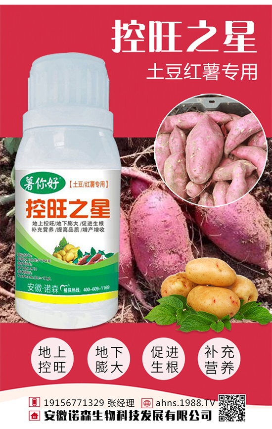 安徽諾森生物科技發(fā)展有限公司1