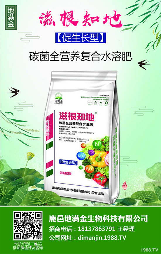 ���G�Ӷ����Xһ����2020�����G�ӷNֲǰ����Ч�����