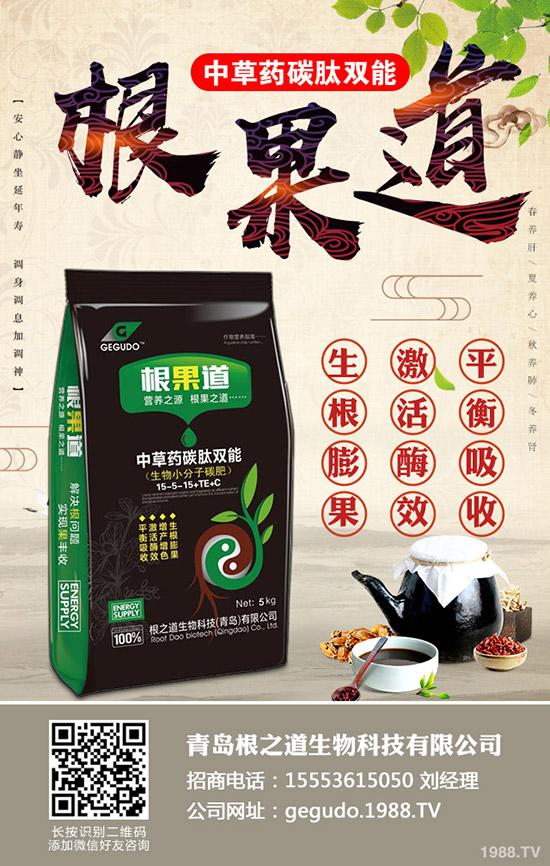     2019-12-13⛷�����K����������������⛳��S������rһ�[��