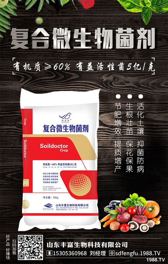 �P����������خa��2020��Nֲǰ�������