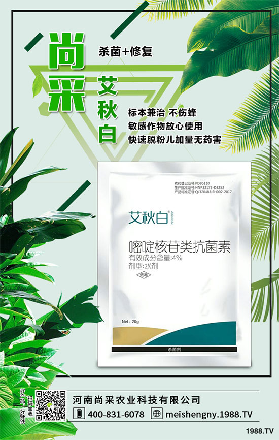 ����������ԭˎ�r(ji��)����?q��ng)?b��o)2019-12-13