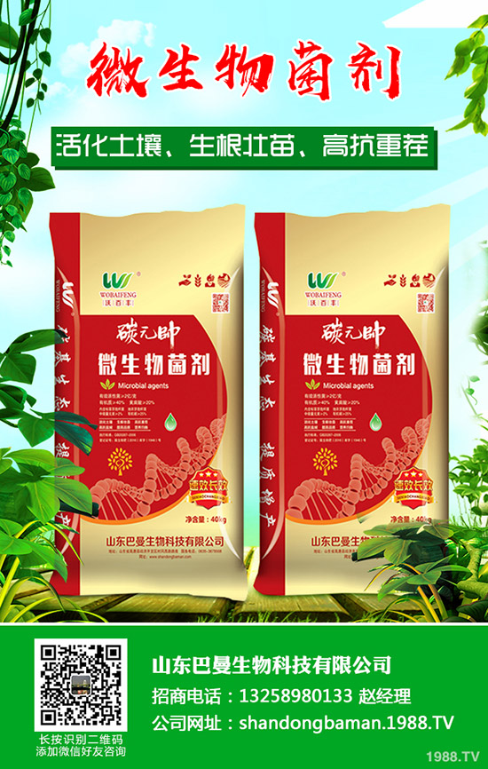 近期磷酸市場行情暫穩(wěn)!2019年12月16日最新磷酸出廠參考報價!