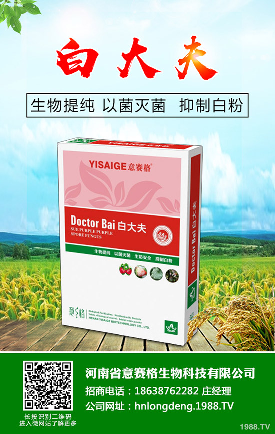 ���Ѷ���ʲô�r���^�������Ѷ�����ʲô������