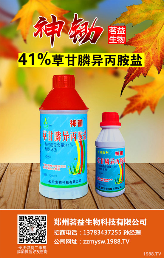 ���ȸ�Ч�w���݄�L-���@좺ϳɼ��gȡ�óɹ�