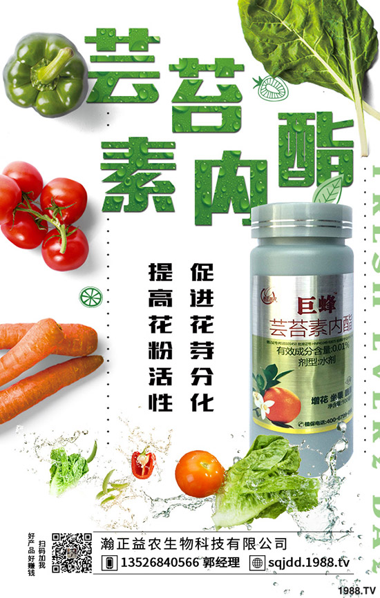 �����߲˲ɹ��ʵ�Σ���������ߴ����߲˲ɹ�����