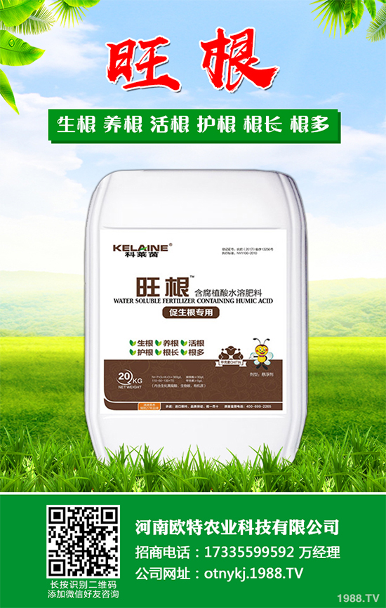 Ģ���Nֲ��Ҫʲô�l����Ģ���Nֲ�h(hu��n)��Ҫ��