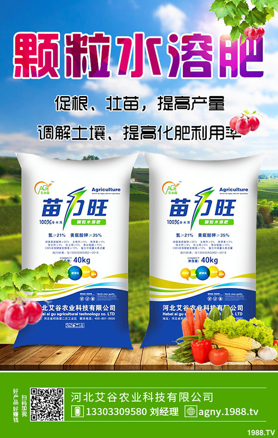 ����ʲô�r(sh��)��N�������ķNֲ�l������Щ��