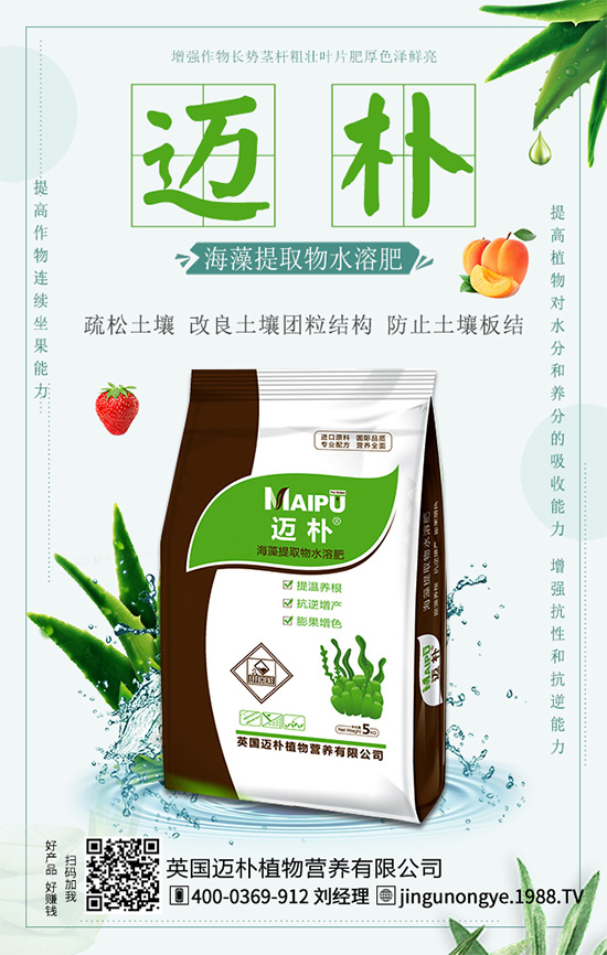 �Ը�����ʲô��̎�����ٵĠI(y��ng)�B(y��ng)�r(ji��)ֵ��