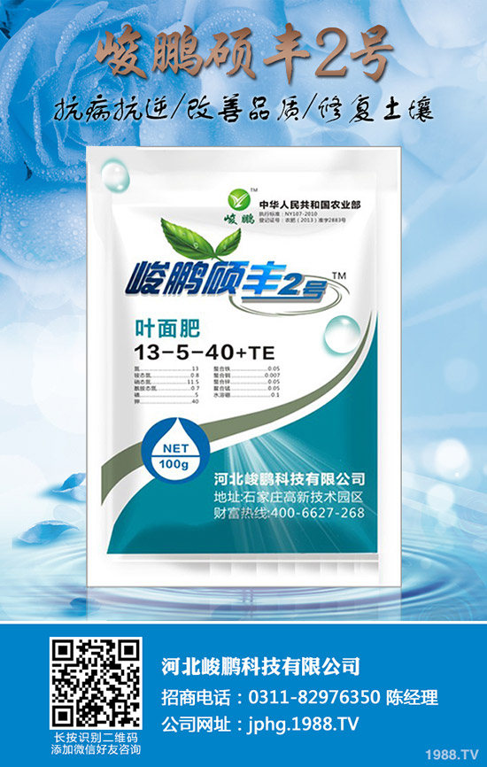 ����Ҫ�q�����ڇ�(gu��)��(n��i)�Ј�(ch��ng)���؃r(ji��)�������߄�(sh��)����2019-12-20