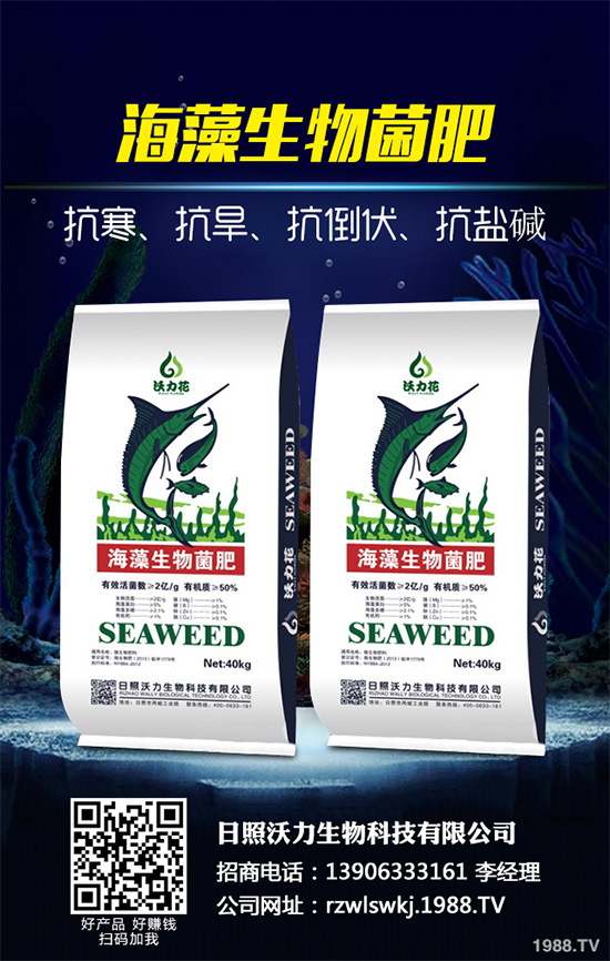 荊芥什么時(shí)候種植?荊芥種植時(shí)間及種植方法