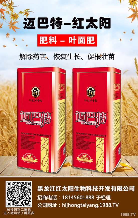 ⛷ʃr���ǝq�ǵ���2019-12-21����(n��i)����⛷ʃr���߄ݷ���