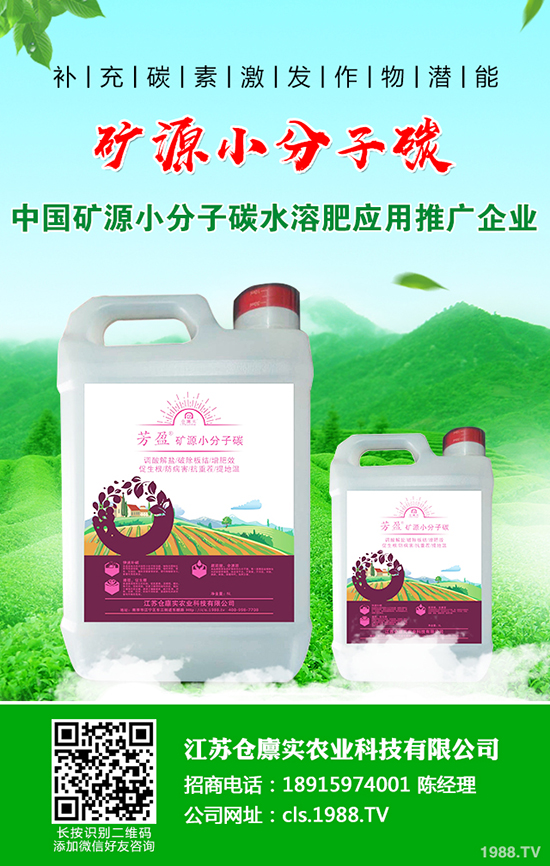 ����������m(x��)������2019-12-21�����������؃r(ji��)�����(b��o)