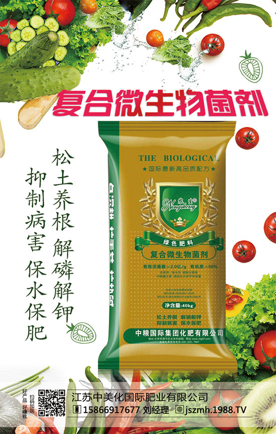     蘆筍市場(chǎng)價(jià)多少錢(qián)一斤？2020年蘆筍種植前景怎么樣？種植效益分析！