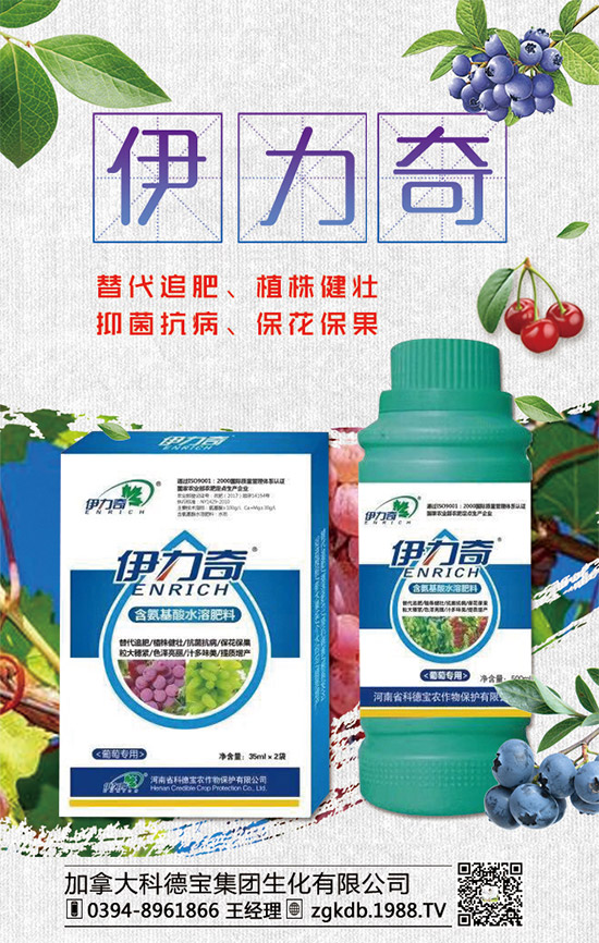     �R�����P(gu��n)�����@�����Ƿ��ϸ���2020����@�r�������߄��A(y��)�y��