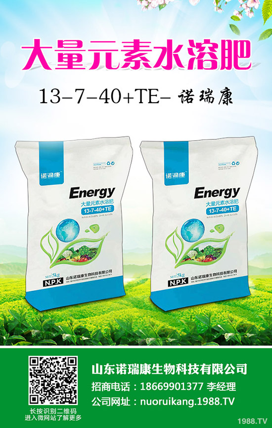     �R�����P(gu��n)��2020�������Ј���������׃�����������������