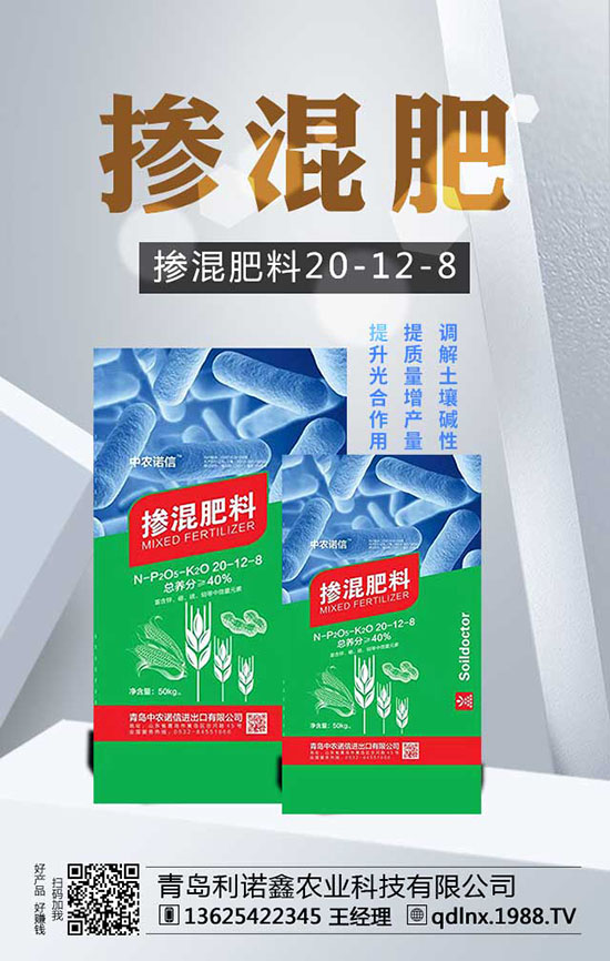 白蘿卜施肥與管理兩手抓,高產從此不再愁!