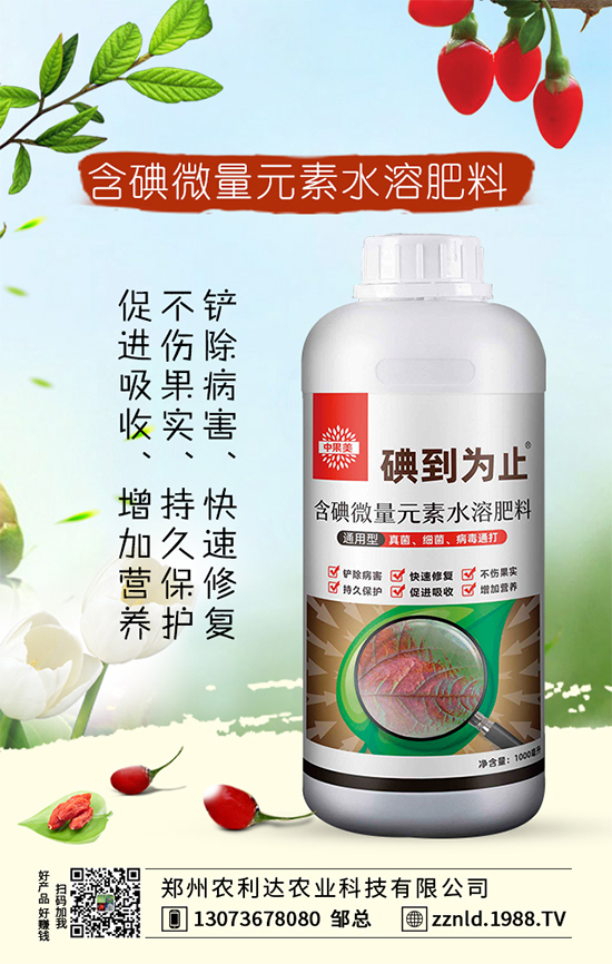 �t�}����ι��������S��������ƌW�����҂�֪������