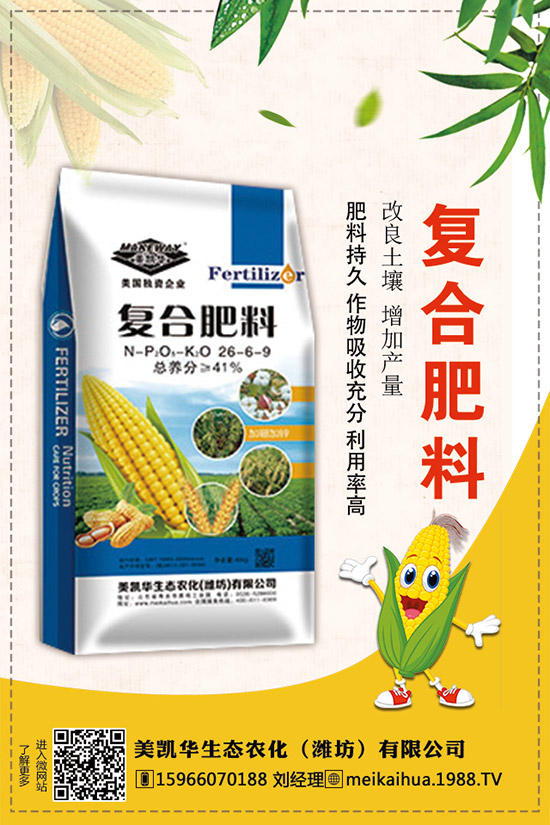     2019�������һ�@��������r��C�Ϸ��������