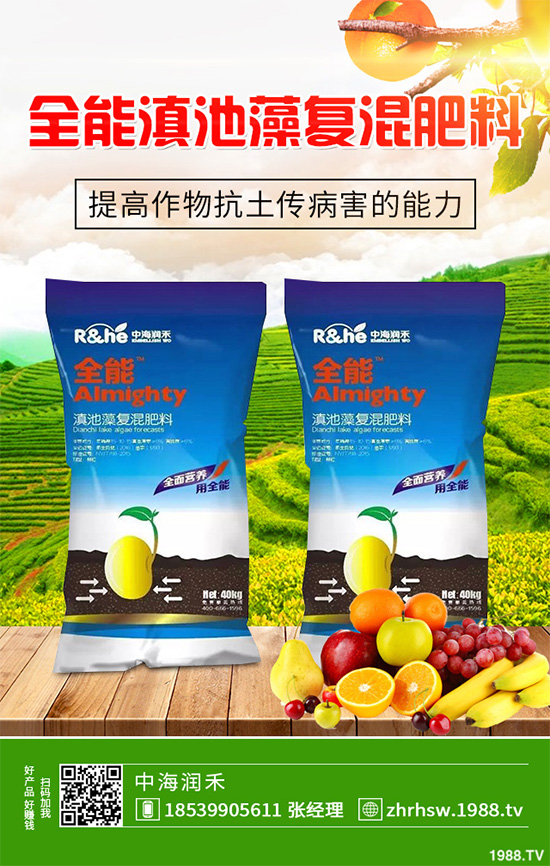 ���r����͸���������Щ�^(q��)�e���ǂ�Ч��������