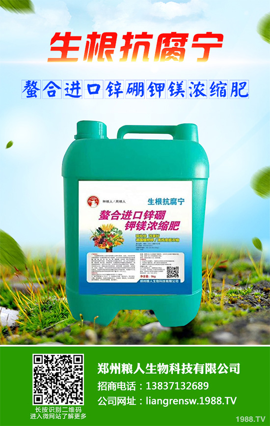 ���r����͸���������Щ�^(q��)�e���ǂ�Ч��������