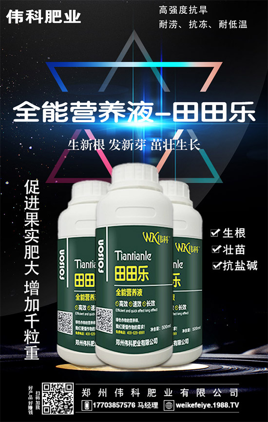     ���ӵĠI�B(y��ng)�rֵ����Щ����Ч�c��������Щ��������Щ��Ⱥʳ����