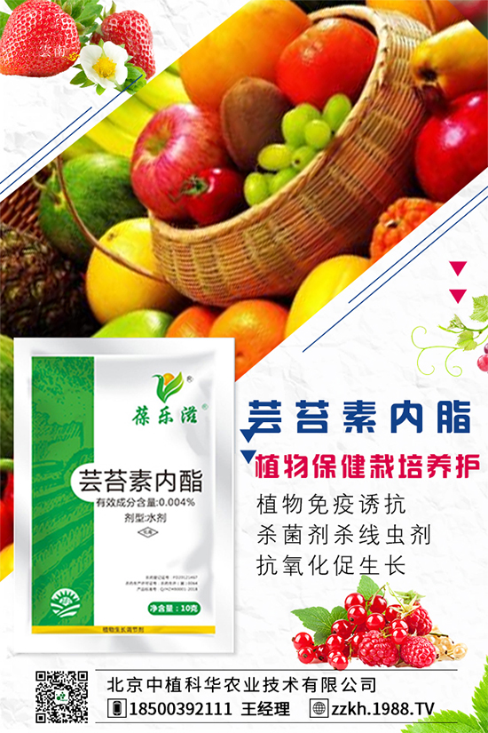 �ʽ�ʲô�r�g�Nֲ���ʽ��ĸ߮a(ch��n)�Nֲ������