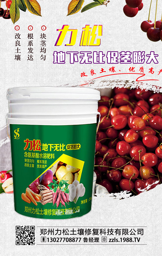 2019-12-4二銨冬儲(chǔ)推進(jìn)動(dòng)力不足!二銨價(jià)格行情分析快報(bào)!