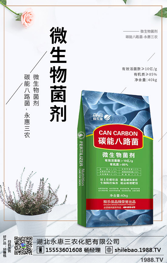 2019-12-4尿素出現(xiàn)反彈,復(fù)合肥價(jià)格卻難上探!復(fù)合肥走勢(shì)分析!