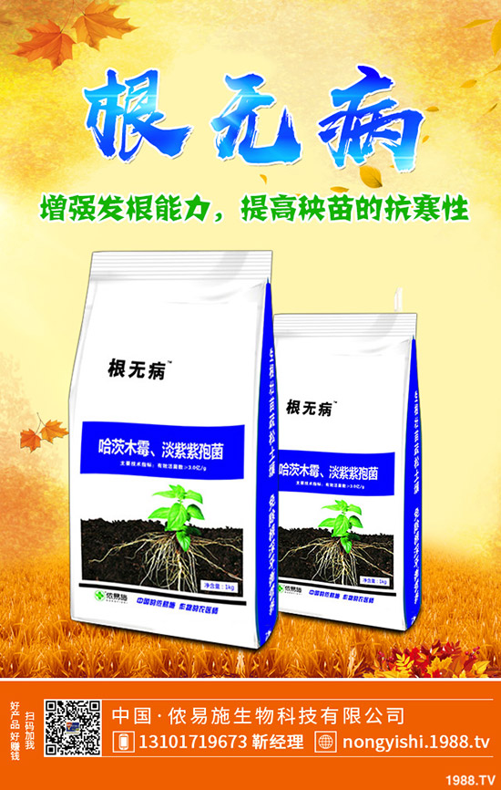 �ڗ��ķNֲҪ�c����Щ���ڗ������g����