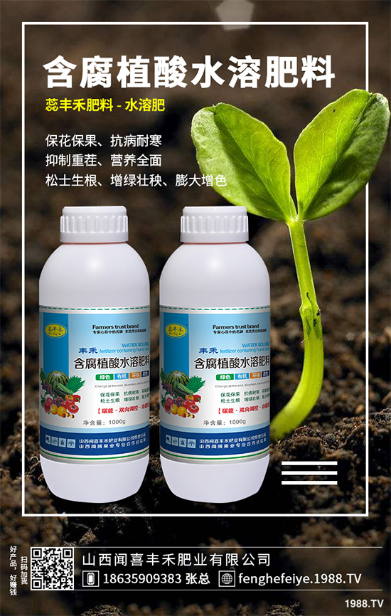 盆栽蔬菜該怎么種?盆栽蔬菜的高產(chǎn)種植技術(shù)
