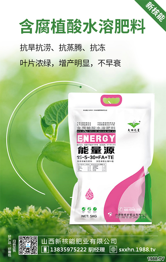 盆栽蔬菜該怎么種?盆栽蔬菜的高產(chǎn)種植技術(shù)