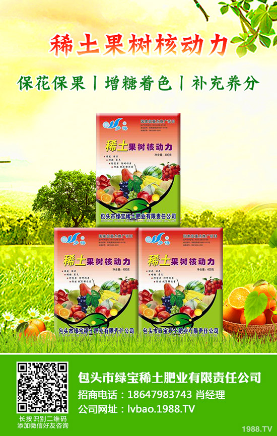 大棚西瓜該怎么育苗,大棚西瓜育苗需要掌握哪些知識