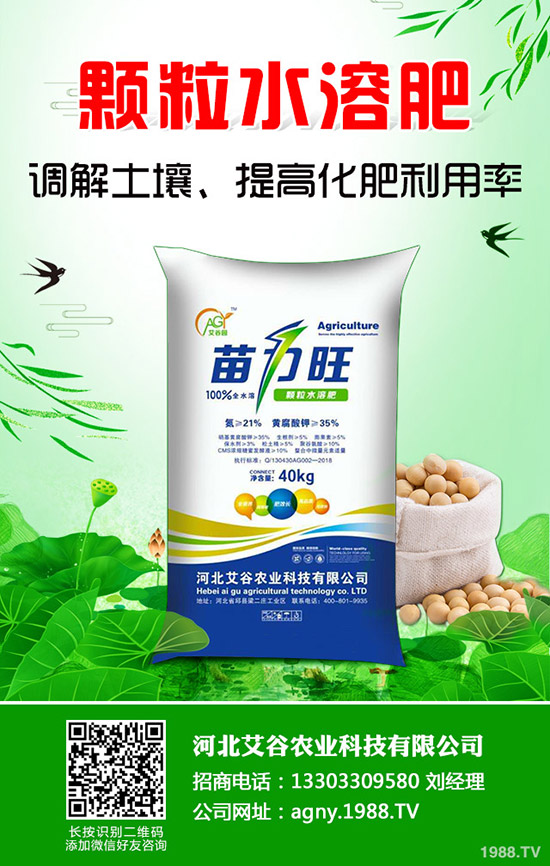 ���Ĳ�����ʩ�ʮa(ch��n)���������Ĳ�ʩ�ʼ�������Щ��