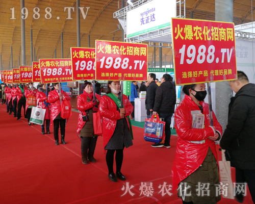     2019��30�úӱ�ֲ���������r(n��ng)���W(w��ng)Ҋ�C�ИI(y��)ʢ���ل�(chu��ng)�ѿ���