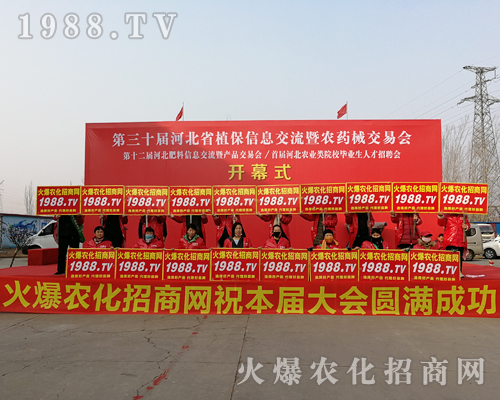     ���r���W׌�^��֮��ʢ�_��2019�ӱ�ֲ���p������