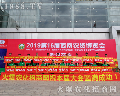     2019�����r(n��ng)�Y���[�������r(n��ng)���W(w��ng)�������o̎����