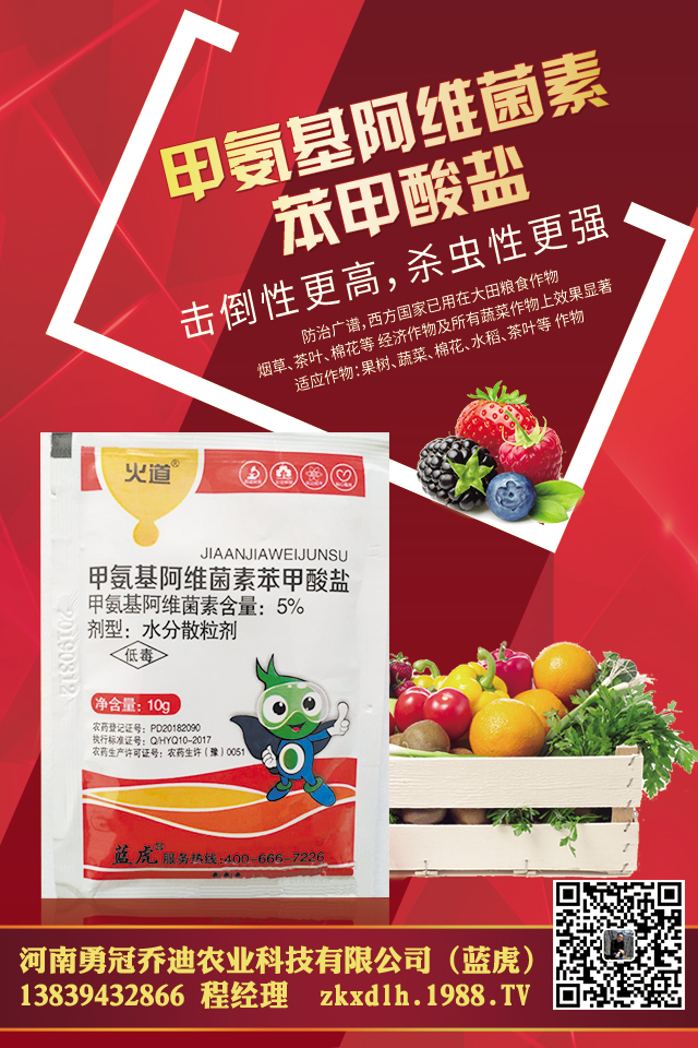 大蔥病害怎么防治?大蔥常見病蟲害防治