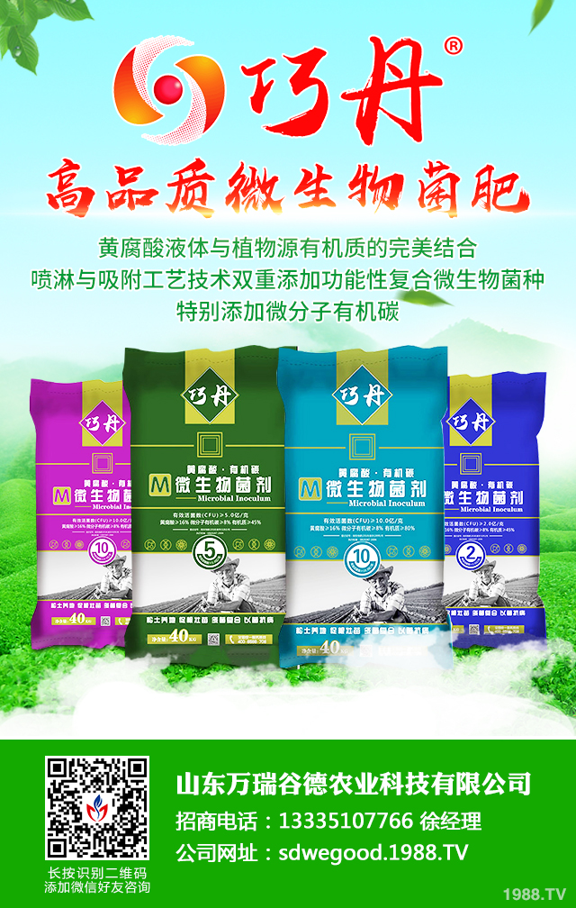 �z����˥��ô����Ч�������z����˥���η���