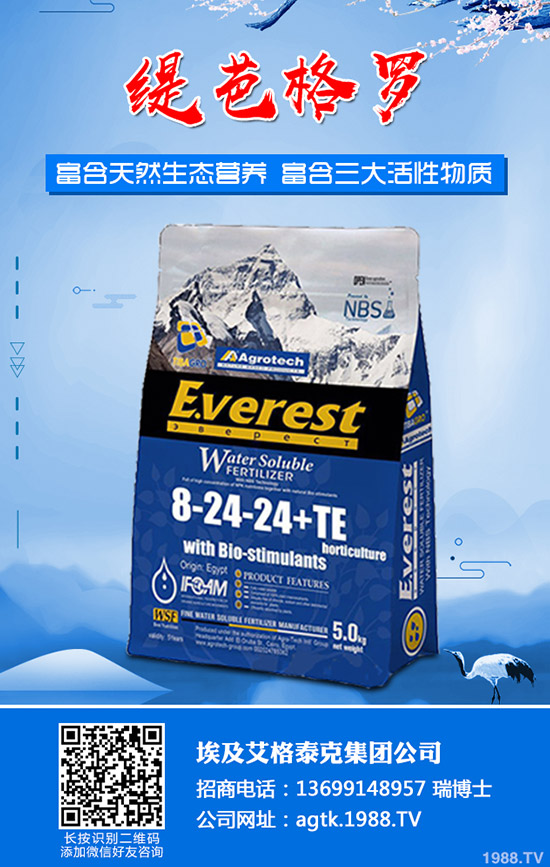 ����ʲô�r�g�������������緽��