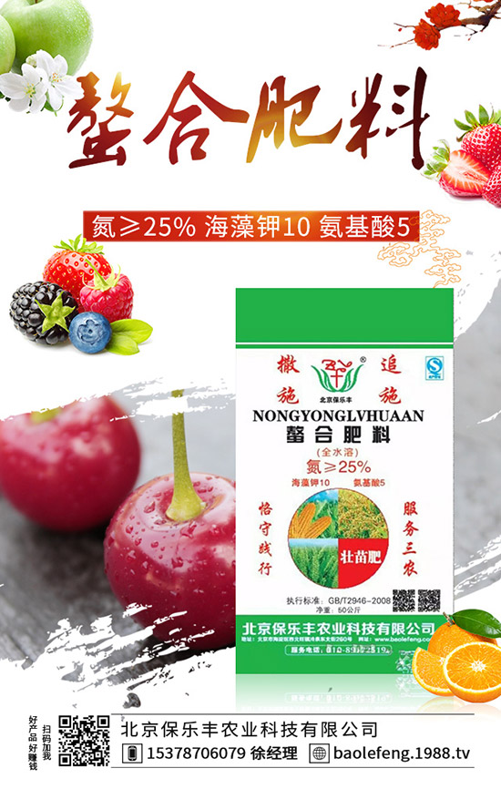 陽臺番茄怎么種?陽臺番茄種植方法