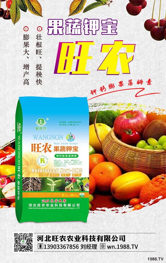 ��������ķNֲ�r(sh��)�g������������������Ҫ�c(di��n)����Щ��