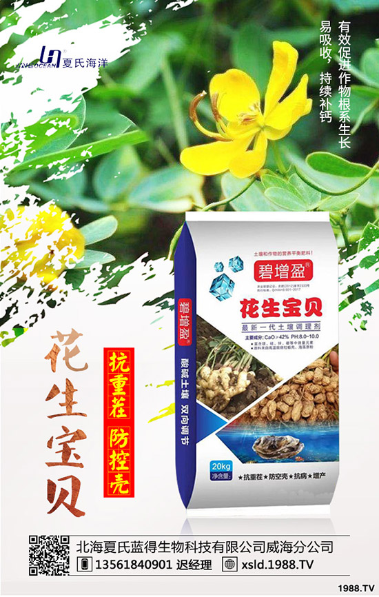 ���{(l��n)���Nǰ����������{(l��n)���߮a(ch��n)�NֲҪ�c(di��n)��