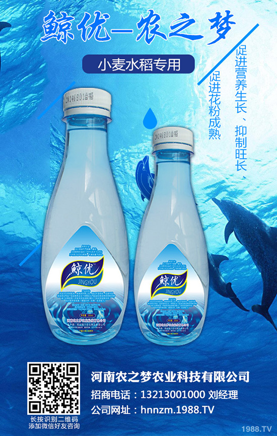 �۲˰߿ݲ�����ЩΣ����ԓ��η��Σ��۲˰߿ݲ��İl(f��)���c����