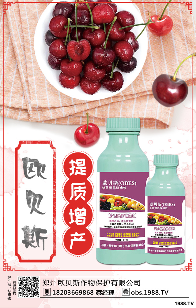 西洋梨如何種植?西洋梨樹栽培技術