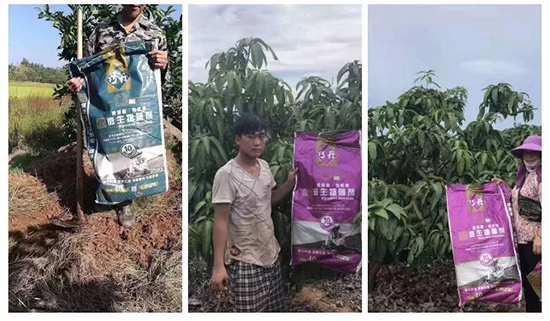 ��΢�������+�ЙC(j��)�ʡ�Ч��ţ�ƣ�ʩһ������飬ʡ���ָ߮a(ch��n)��