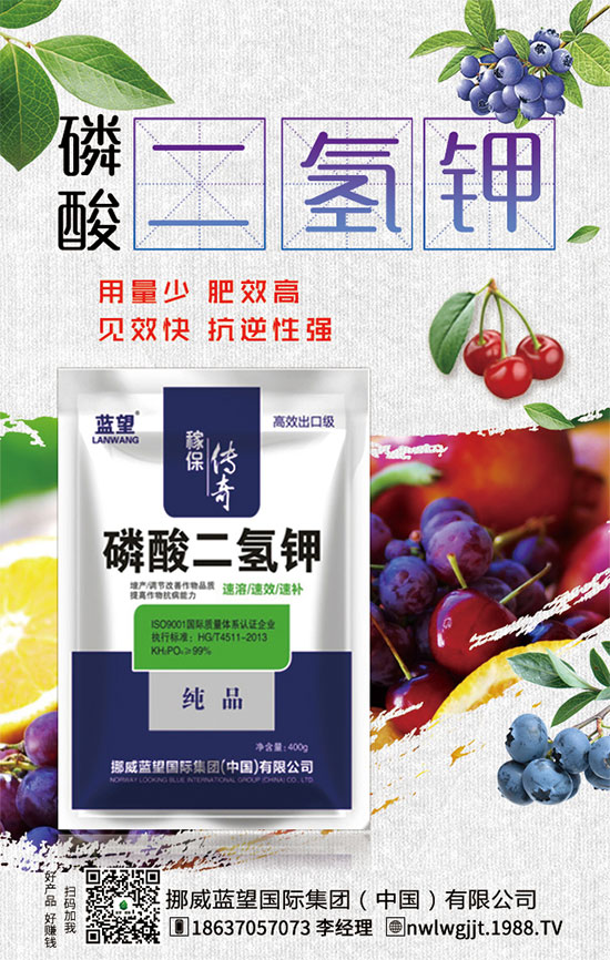 ������t����ֲע�����(xi��ng)��������t������ڹ�������