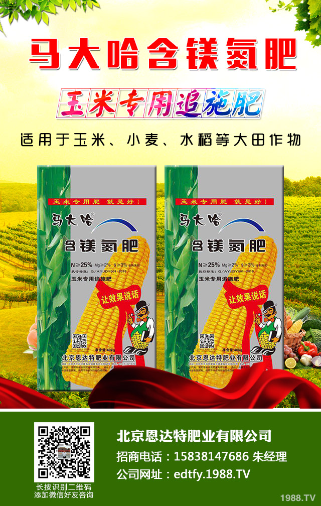 ���[��������ô���������[�������ɹ���