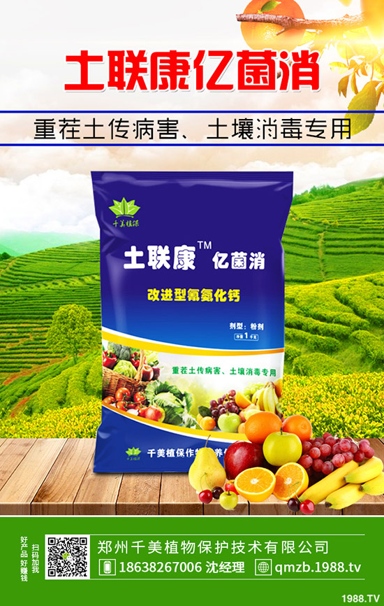     �＾����������ι������＾����������ֲ�������g(sh��)��